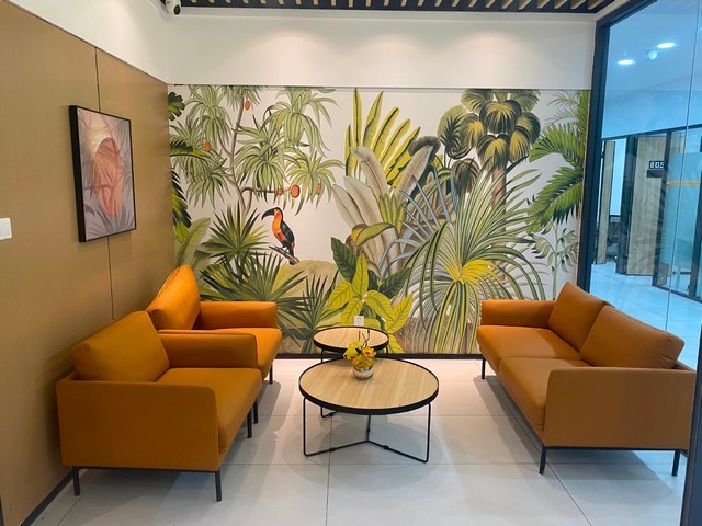 大型咖啡红龙如何喂养